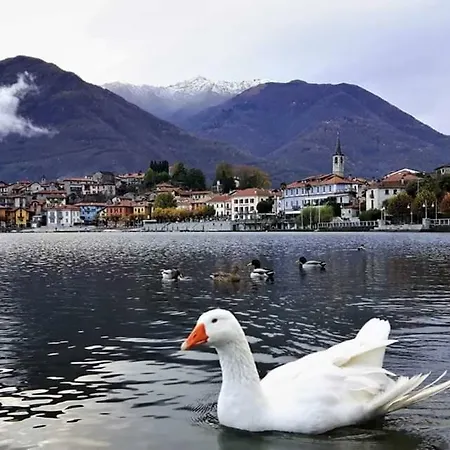 Casa Delle Rose Apartment