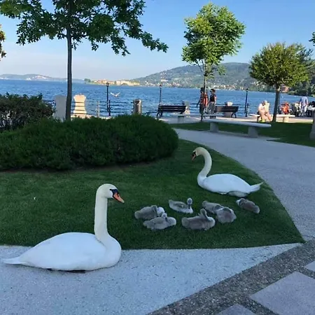 Casa Delle Rose Apartment Verbania