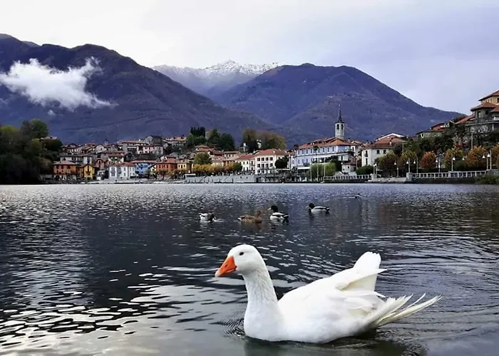 Casa Delle Rose Apartament